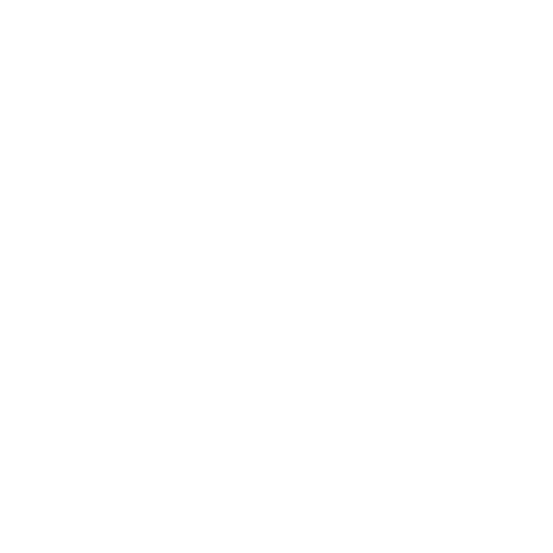 Chapter 4: Our choices