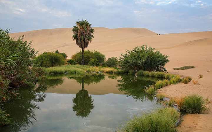 Thirst, peace and appreciation