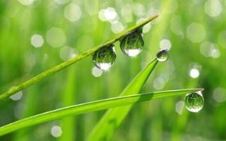 Simple is extraordinary