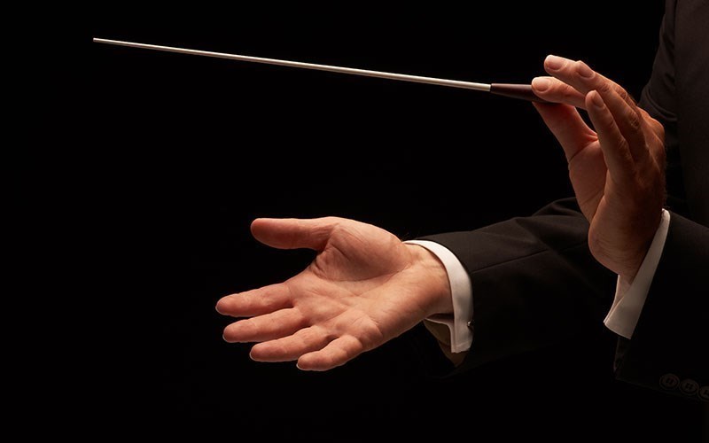 The symphony of life