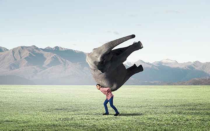 A burden or a blessing