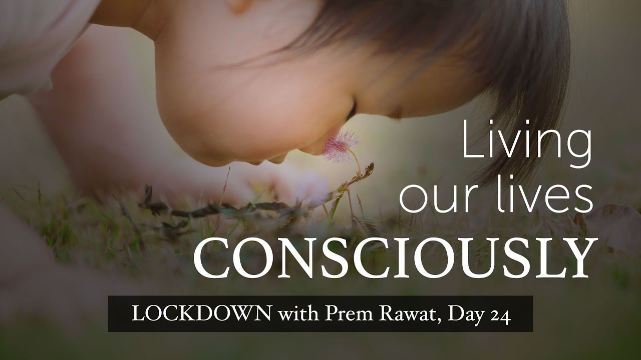 Confinamiento con Prem – Día 24