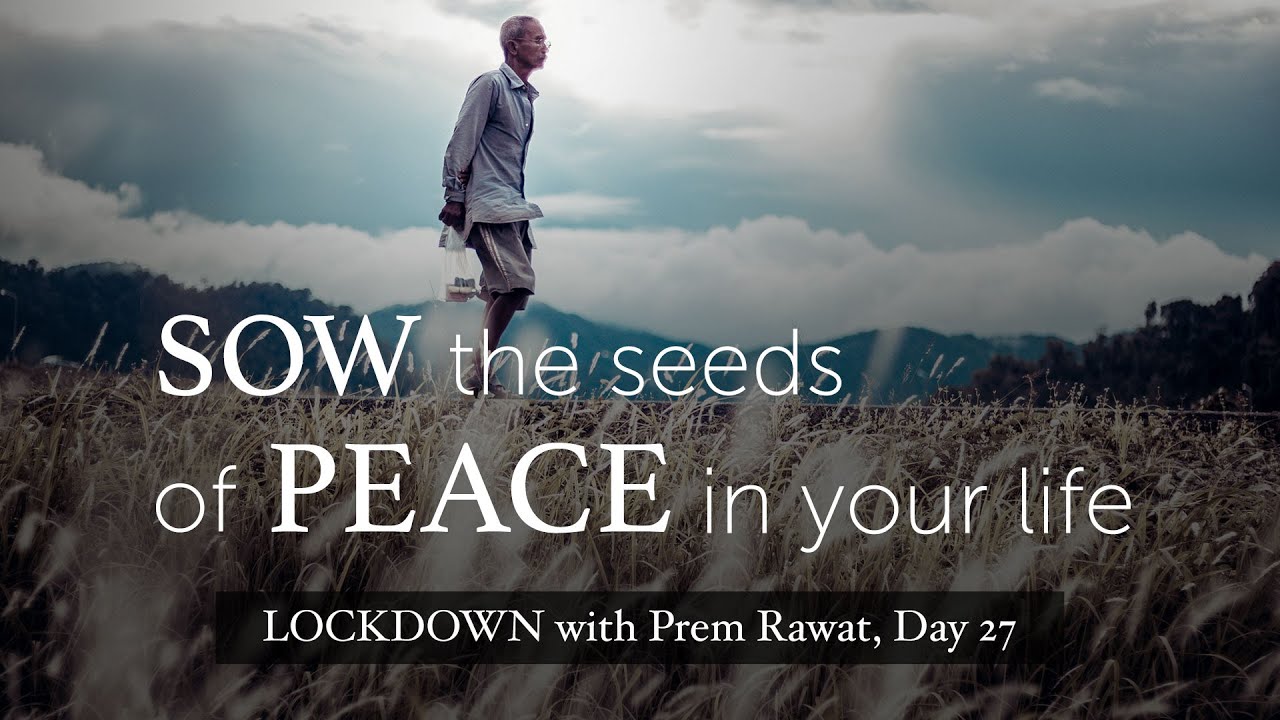 Día 27 – Confinamiento con Prem