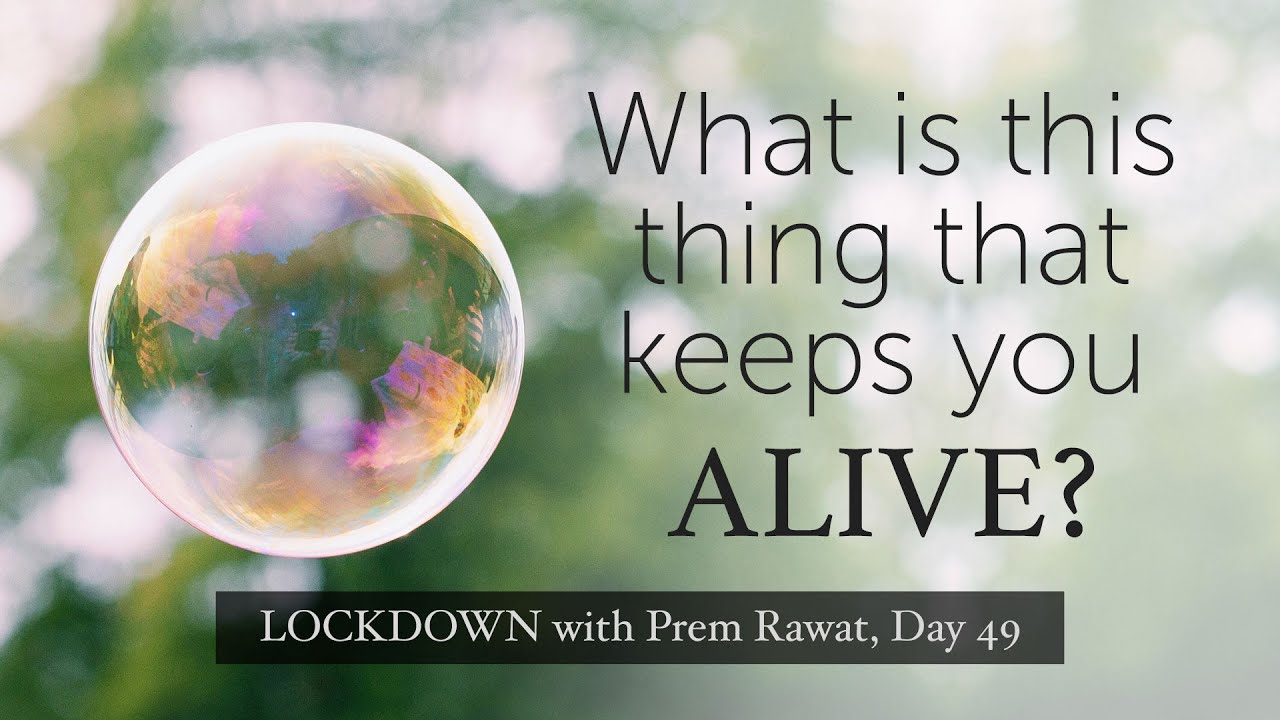 Confinamiento con Prem, Día 49