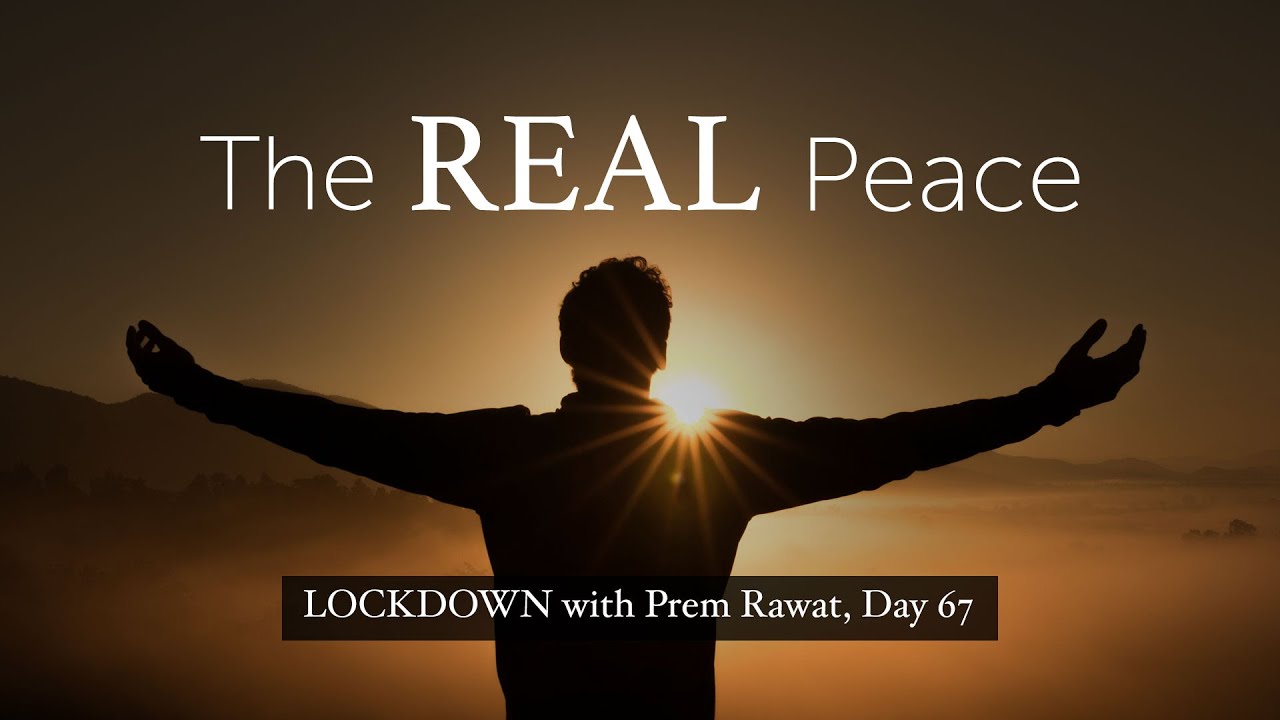 Confinamiento con Prem, Día 67