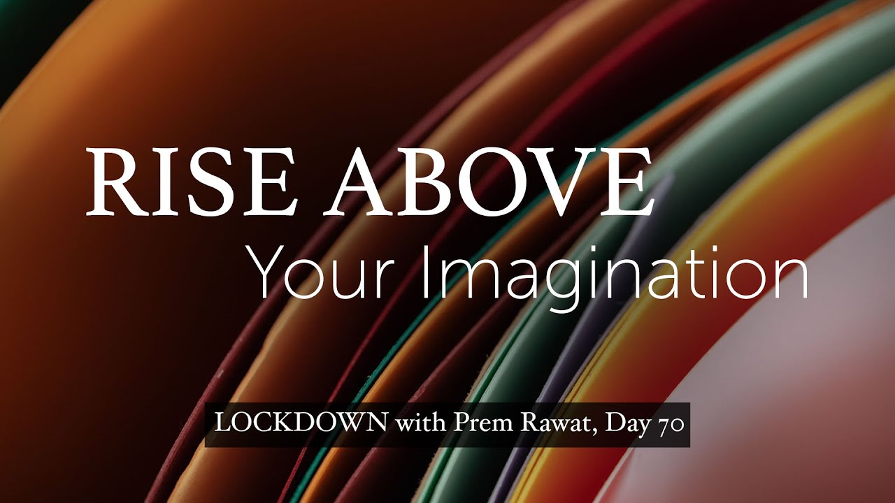 Confinamiento con Prem, Día 70