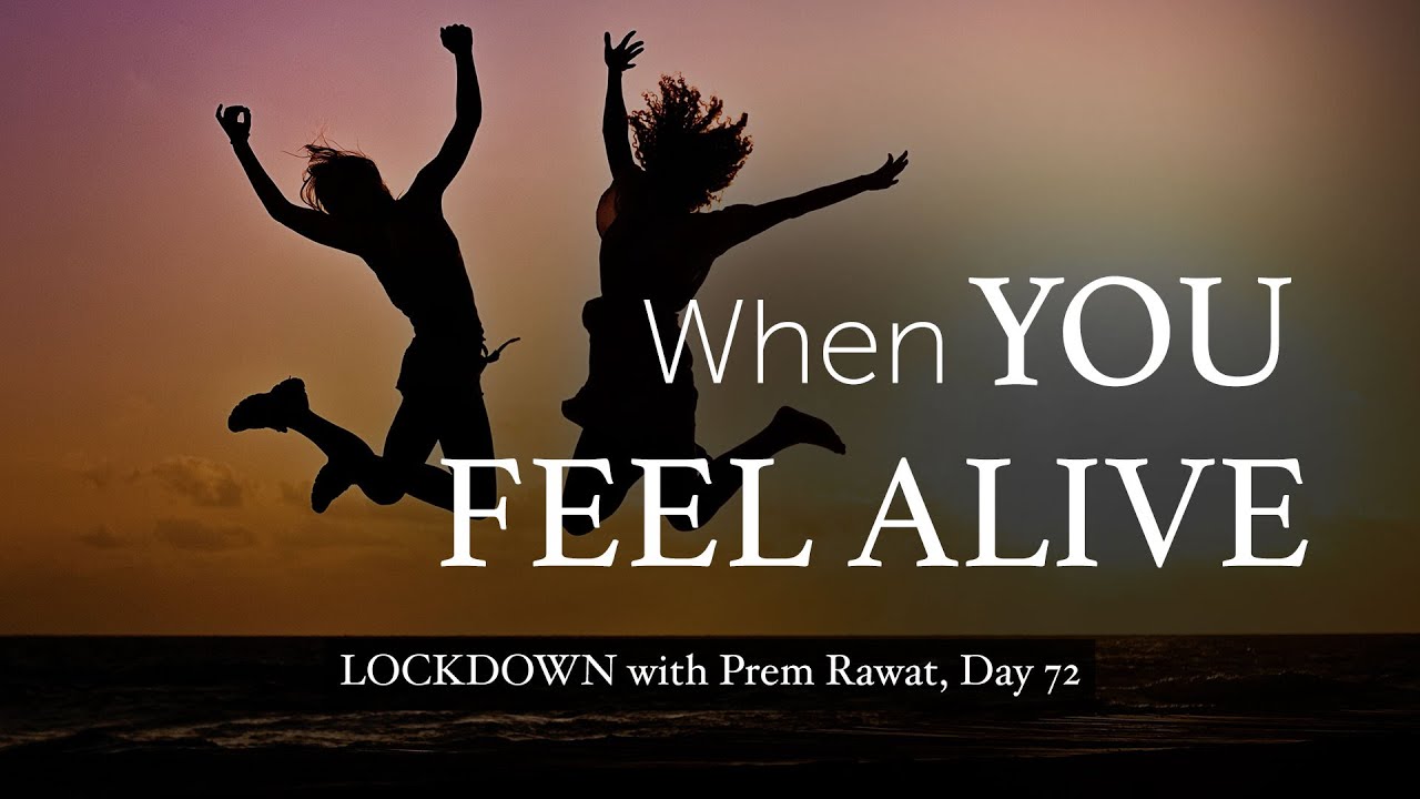 Confinamiento con Prem, Día 72