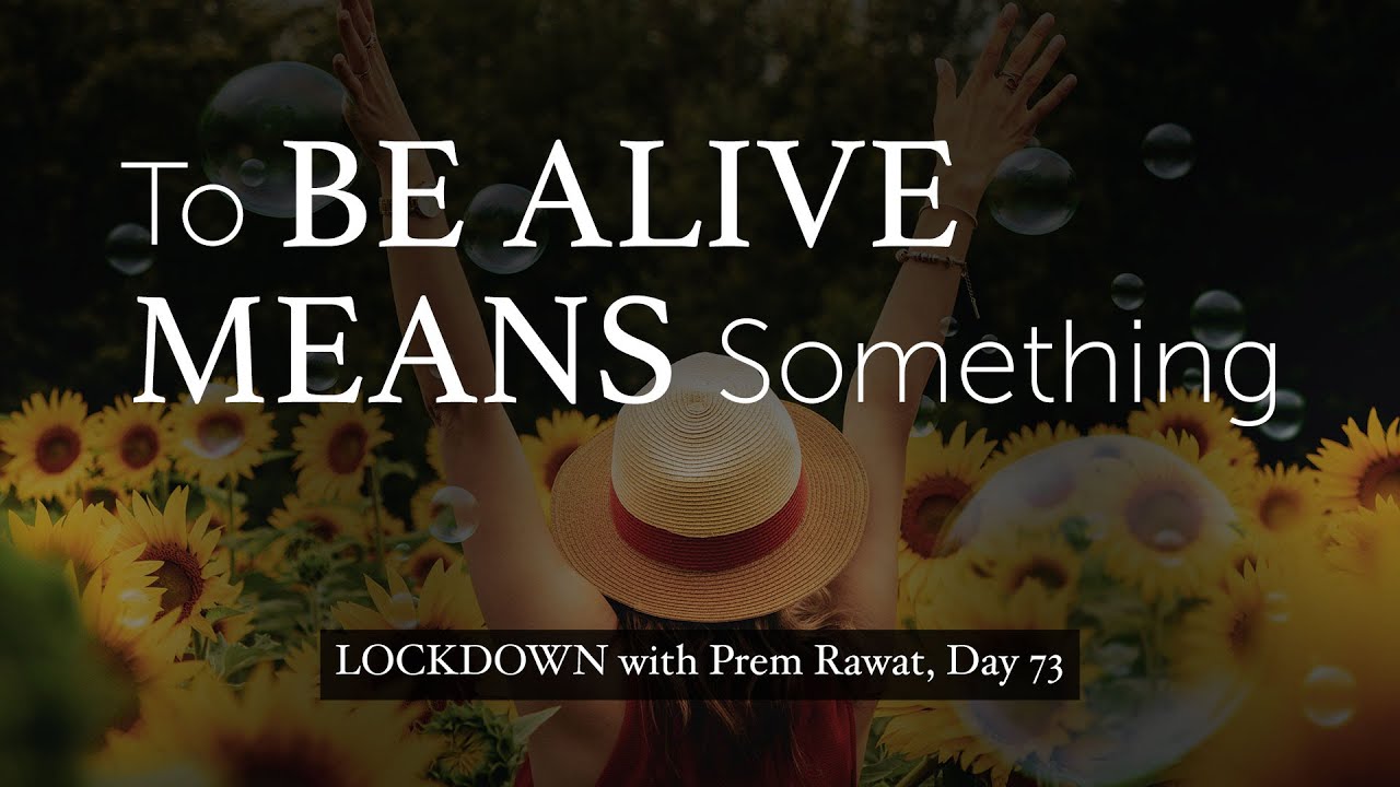 Confinamiento con Prem, Día 73