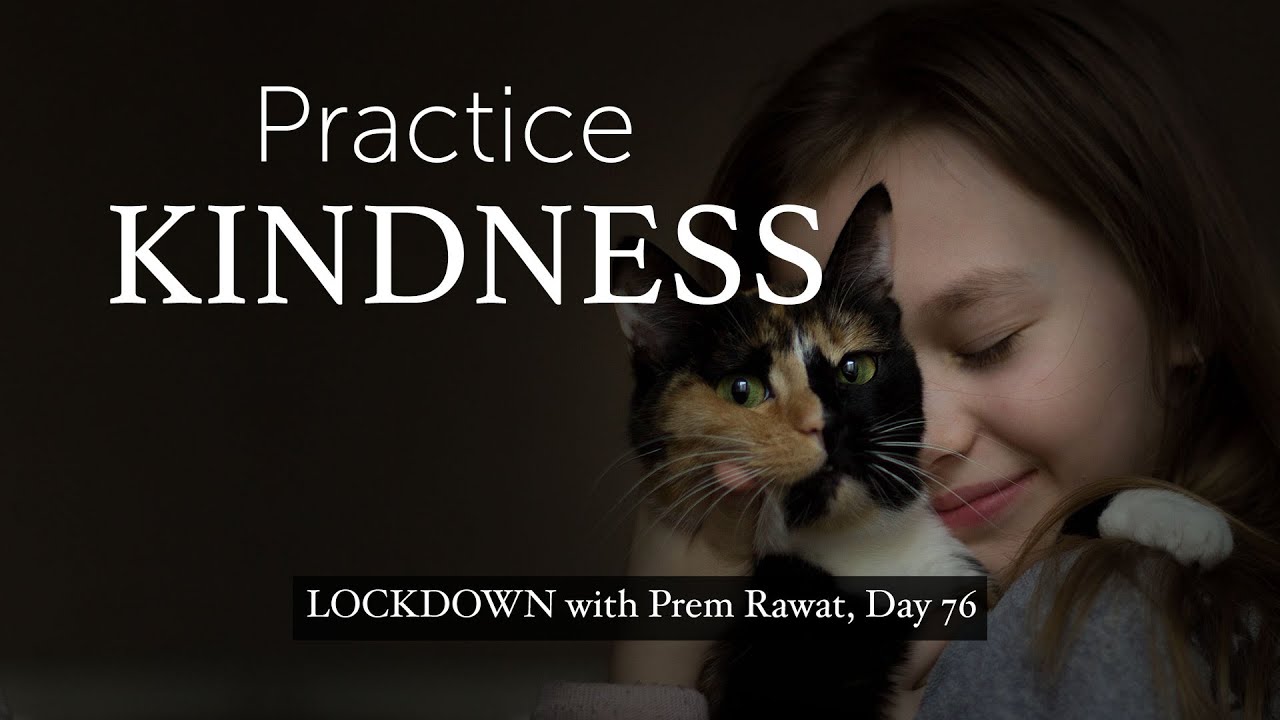 Confinamiento con Prem, Día 76