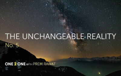 One 2 One, No. 5: The Unchangeable Reality