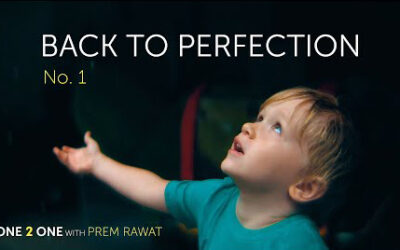 One 2 One, No. 1: Back to Perfection