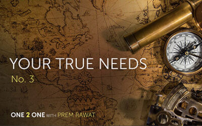 One 2 One, No. 3: Your true needs