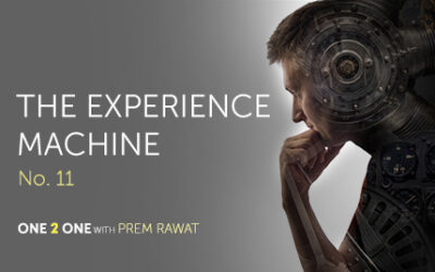 One 2 One, No. 11 – The Experience Machine