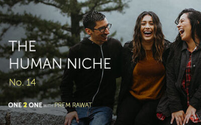 One 2 One, No. 14 – The Human Niche