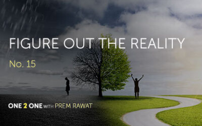 One 2 One, No. 15 – Figure out the Reality