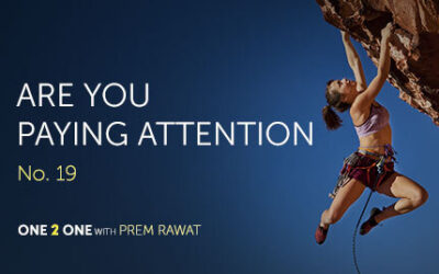 One 2 One, No. 19 – Are You Paying Attention