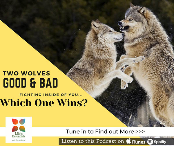 “Life’s Essentials with Prem Rawat” podcast series 2, episode 6 – Now, Be, Exist