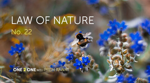 One 2 One, No. 22 – Law of Nature