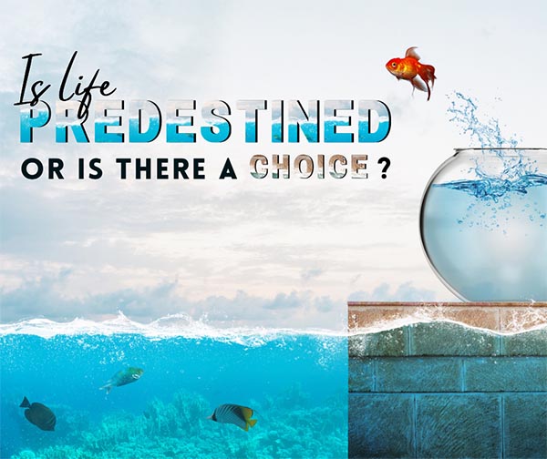 “Life’s Essentials with Prem Rawat” podcast series 3, episode 6 – The fortune of being alive