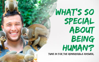 “Life’s Essentials with Prem Rawat” Podcast Series 4 – Episode 2: The Composition that Makes You Human